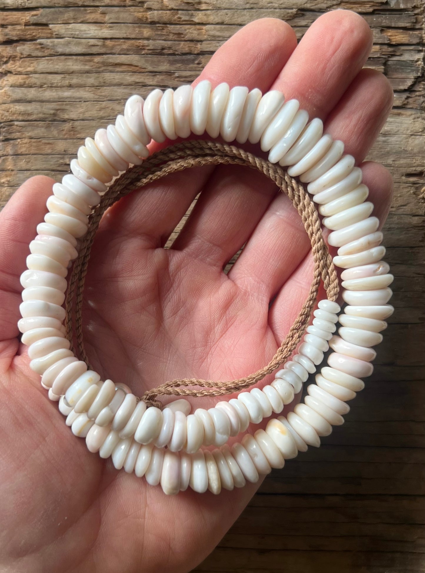 Lō'ihi Puka Lei
