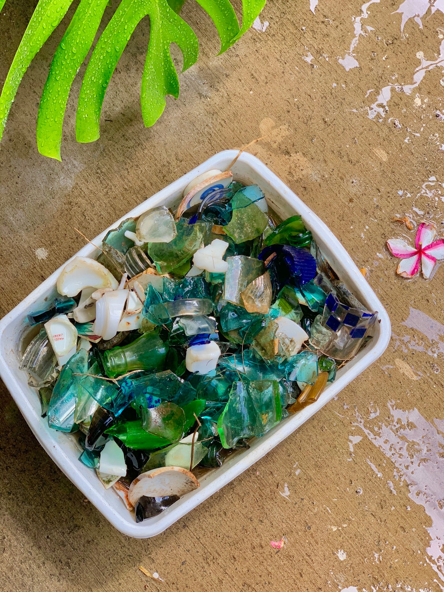 'Ōpala Ombre Sun Catcher
