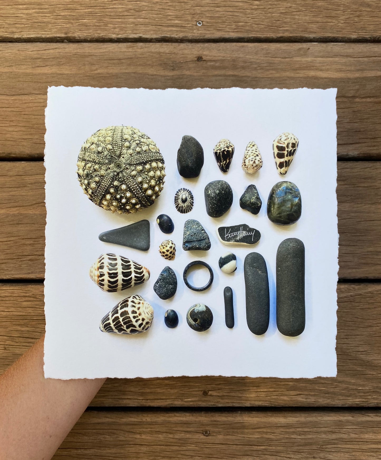 Original Fine Art Photo Prints