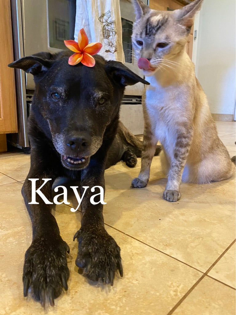 Kaya Bracelets ~ Adjustable