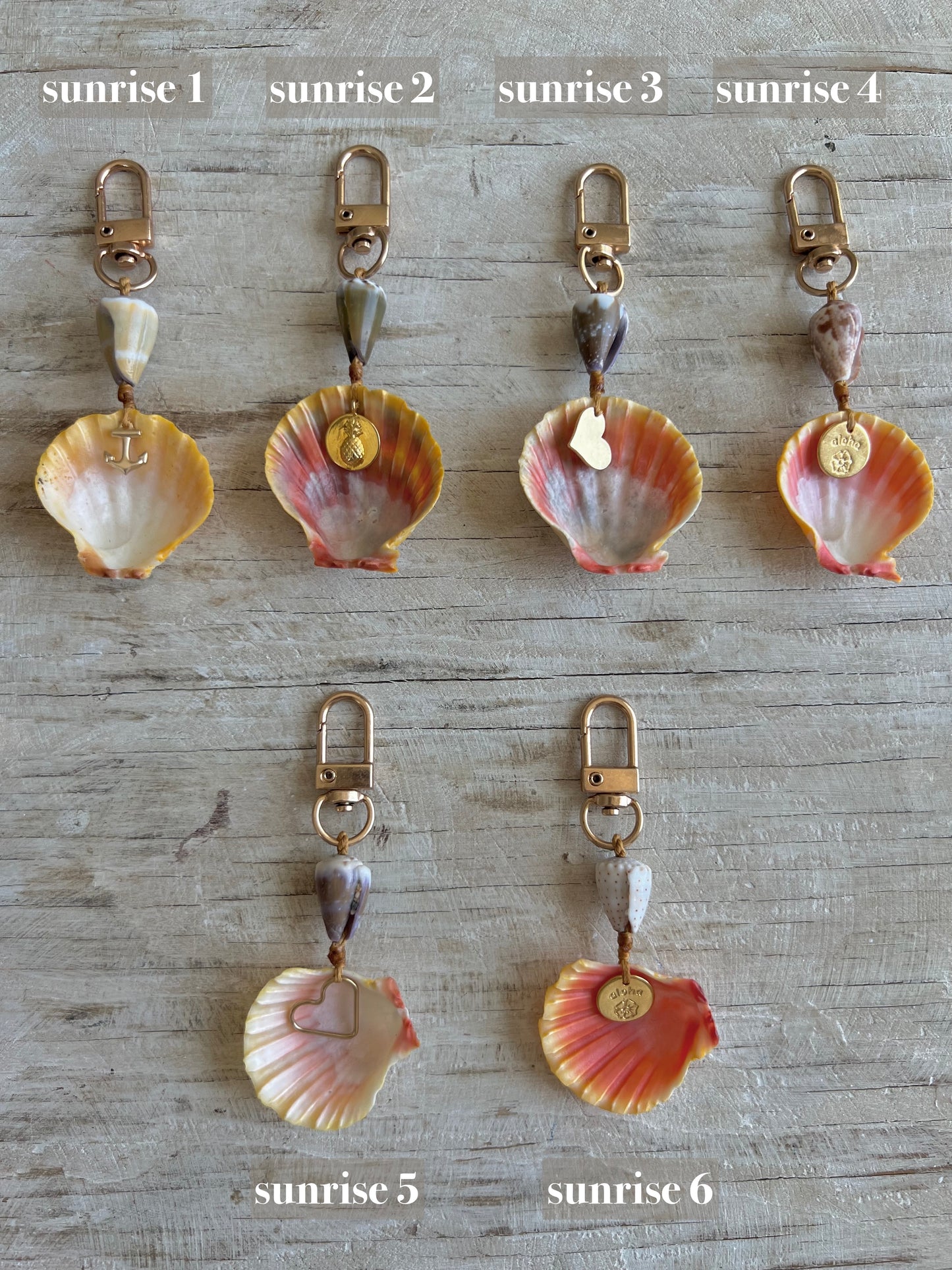 Sunrise Purse Clips