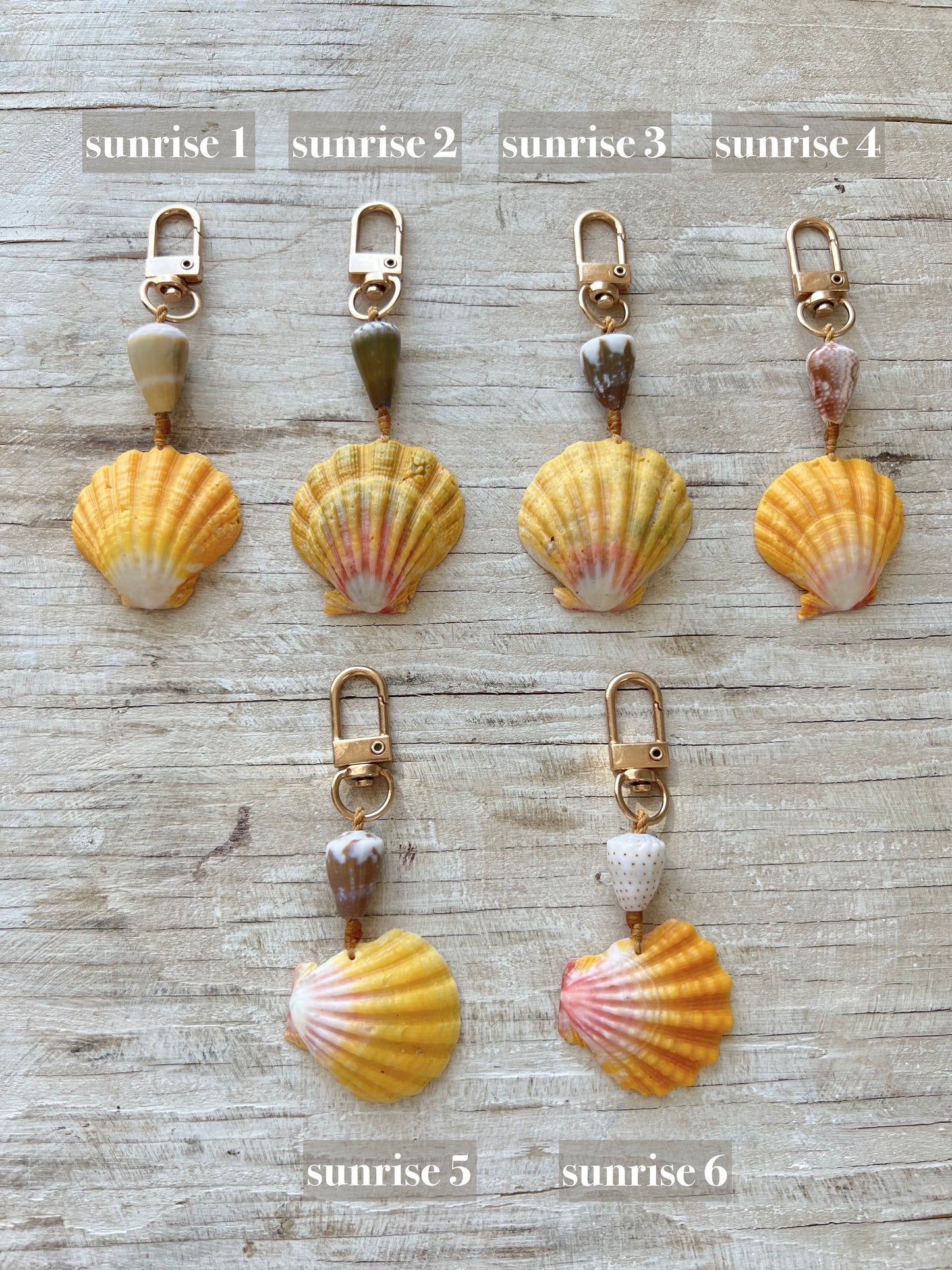 Sunrise Purse Clips