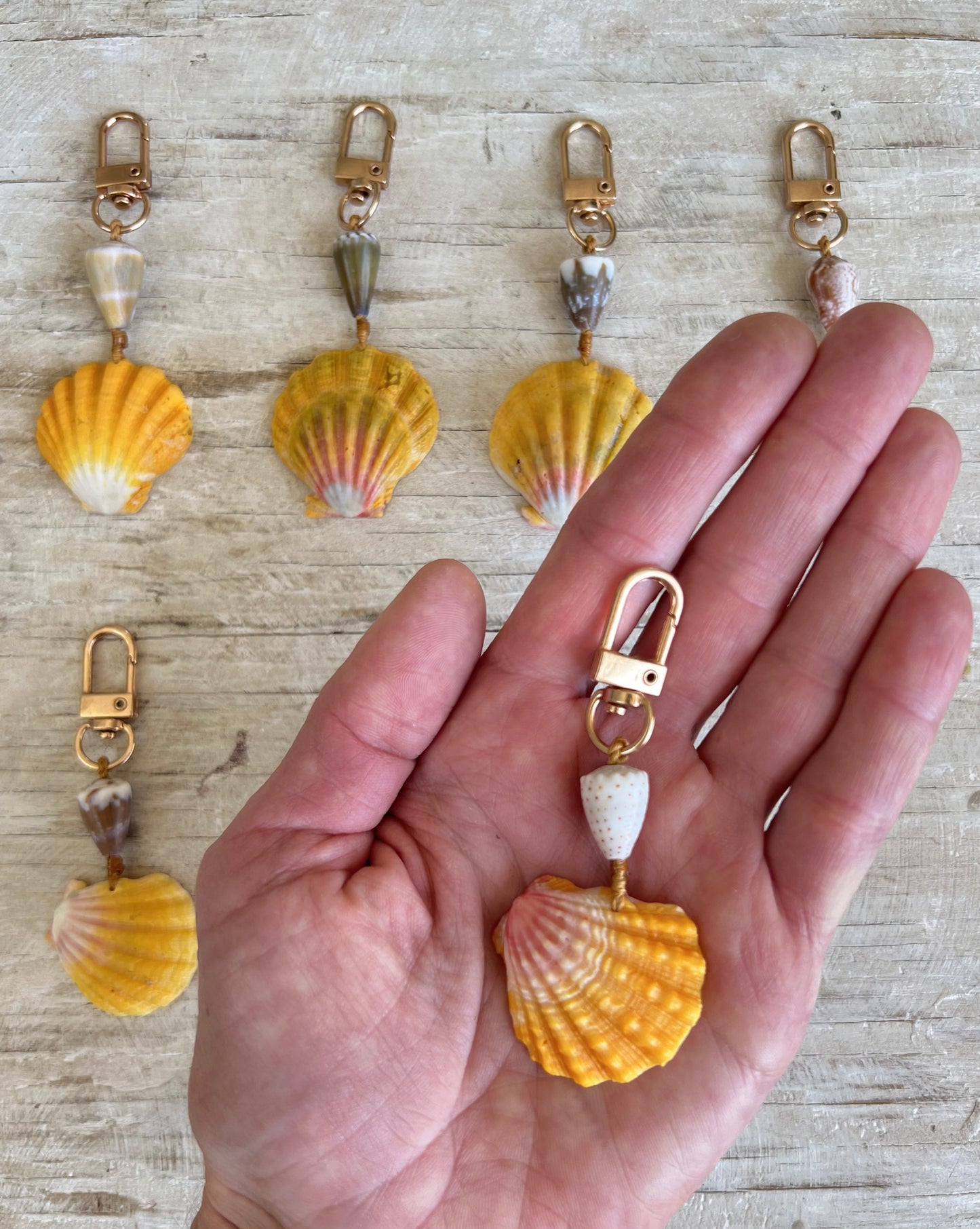 Sunrise Purse Clips