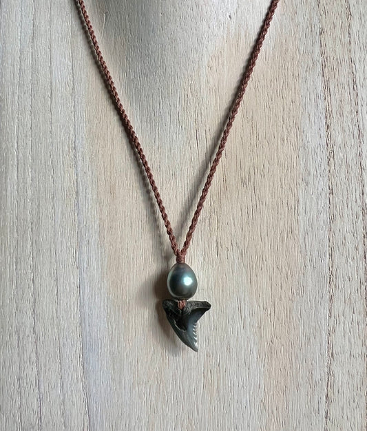 Tahitian Pearl + Shark Tooth Necklace