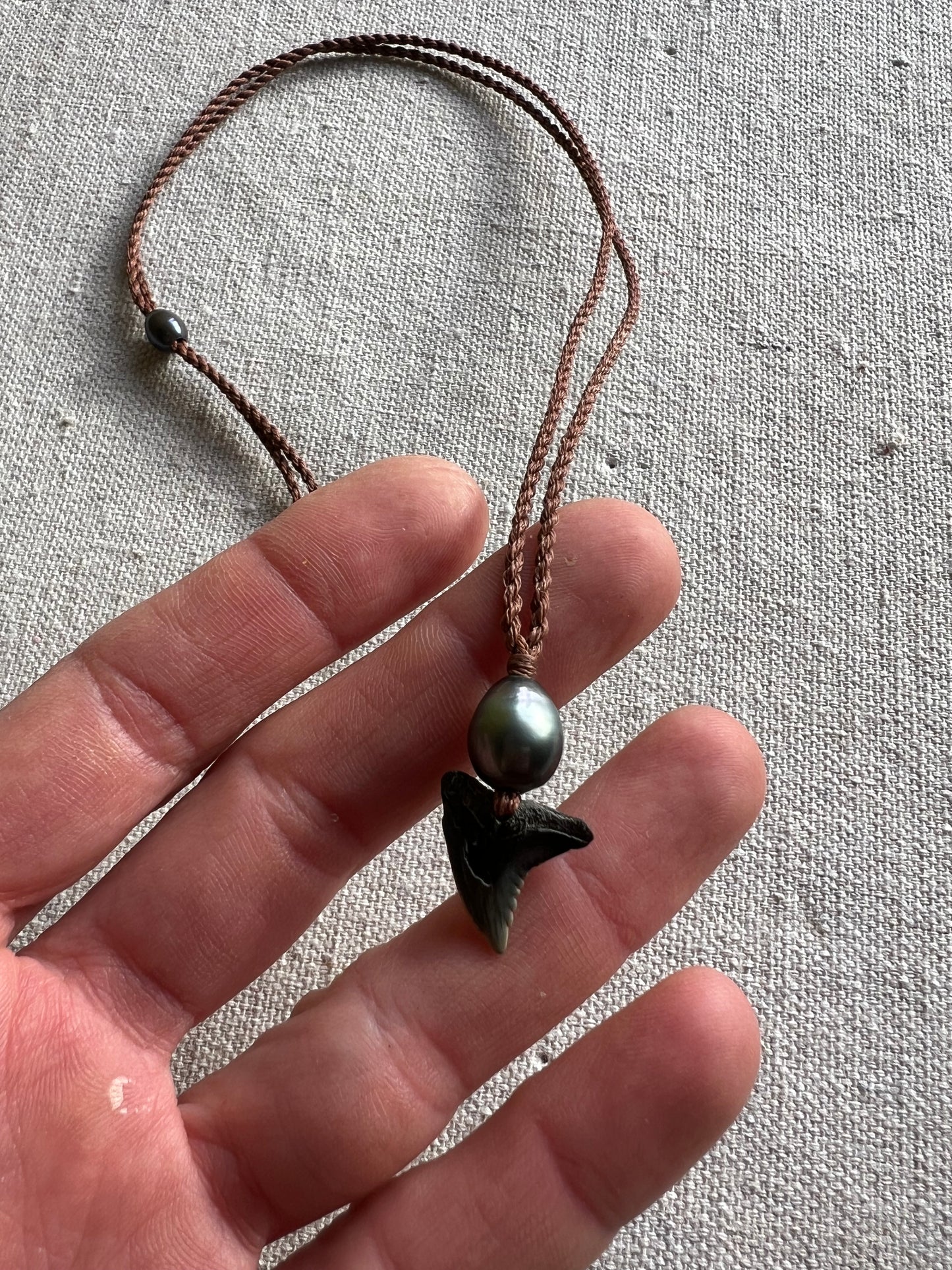 Tahitian Pearl + Shark Tooth Necklace