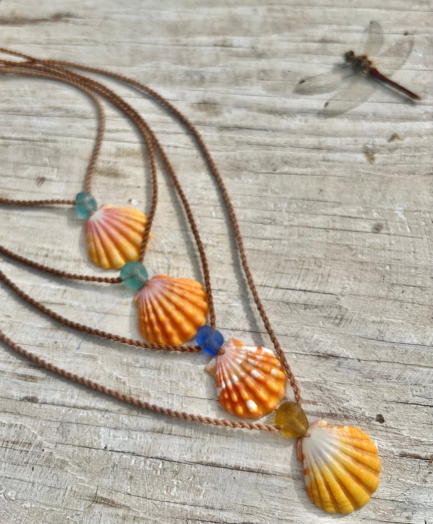 Sunrise Shell + Sea Glass Adjustable Necklace